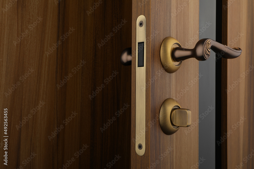 interior door, beautiful canvas, expensive fittings, made of natural veneer, door fittings interior door, beautiful canvas, expensive fittings, made of natural veneer, door fittings