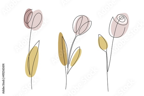 Continuous one line drawing roses. Farmer market Logo concept. Abstract hand drawn flowers by one line. Minimalist black line sketch on pastel colors spots. Fashionable trend vector illustration