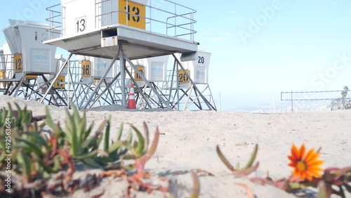 Lifeguard stand and flower, life guard tower for surfing on California beach. Succulent ice plant and rescue hut or house by summer ocean. Lifesavers station near Los angeles on Mission beach, USA.
