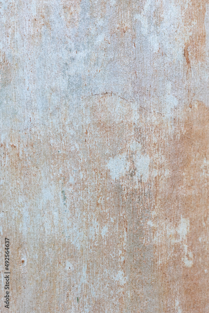 Eucalyptus trunk texture. Smooth wood without bark. Fullscreen Eucalyptus trunk texture. Smooth wood without bark. Fullscreen