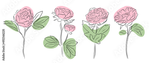 set of differents peony decoration on white background