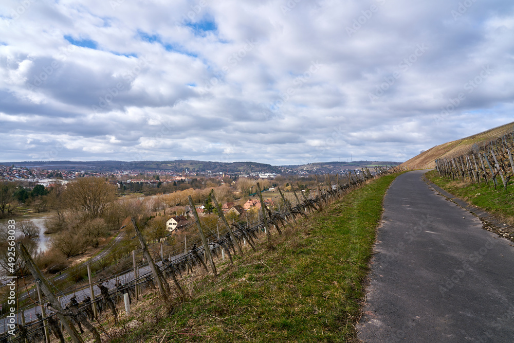 Weinberge und Landschaft beim Winzerort Randersacker am Main bei Würzburg, Landkreis Würzburg, Unterfanken, Bayern, Deutschland Weinberge und Landschaft beim Winzerort Randersacker am Main bei Würzburg, Landkreis Würzburg, Unterfanken, Bayern, Deutschland