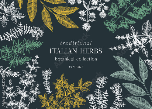 Vector banner design with  typical herbs and spices for Italian cuisine. Hand-sketched kitchen herbs plants background. Aromatic food cooking herbal ingredients frame. On chalkboard
