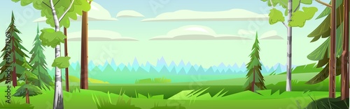 Horizontal view of the forest away. Thick meadow grass and pines and birch. Cute funny floral green landscape. Rural countryside. Illustration in cartoon style flat design. Vector