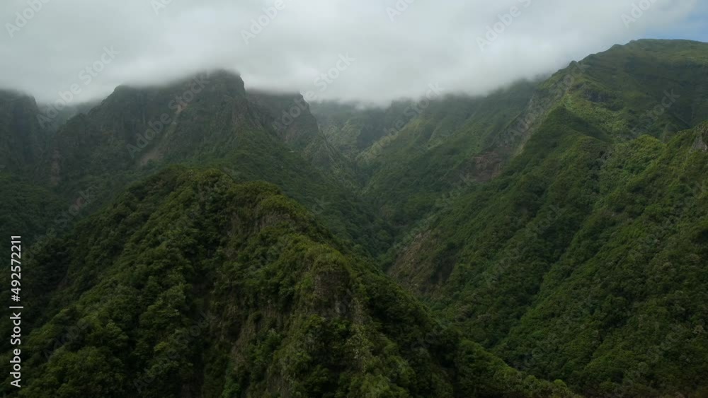 Deep inside Madeira Island's lush green forest areas on a cloudy summer day Deep inside Madeira Island's lush green forest areas on a cloudy summer day