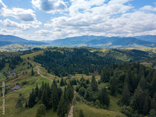 Fototapeta Naklejka Na Ścianę i Meble -  Green mountains of Ukrainian Carpathians in summer. Coniferous trees on the slopes. Aerial drone view.