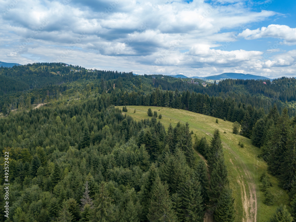 Green mountains of Ukrainian Carpathians in summer. Coniferous trees on the slopes. Aerial drone view.