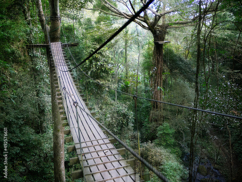 Flying gibbons adventure crossing over hanging bridge in the tropical jungle thailand