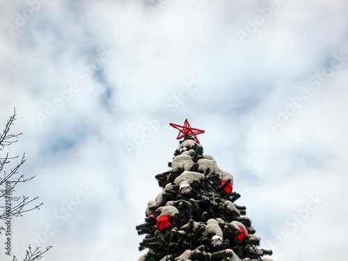 Canvas Print Christmas tree in the park against the sky