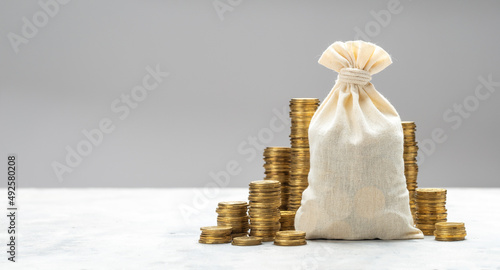Money bag with gold coins on a gray background. Template Copy space for text. mock-up