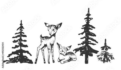 deer, fawn, tree, spruce, pine, deer, fawn, christmas tree, spruce, pine, hand drawing black contour, silhouette new year symbols, forest dwellers, isolated objects