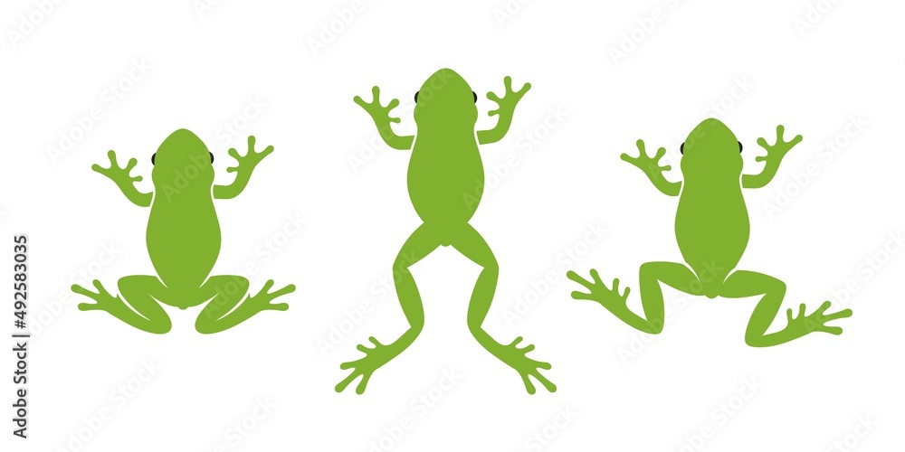 Obraz premium Frog logo. Abstract frog on white background