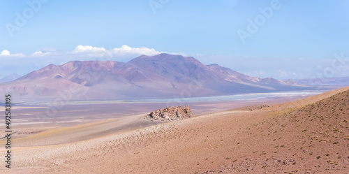 Stunning view of the high altitude plateau  altiplano  in the Atacama desert  Chile  near the borders with Bolivia and Argentina