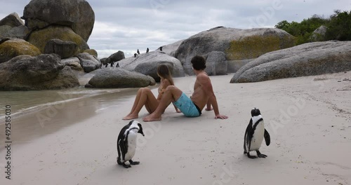 Close-up.Tourist Couple sitting and watching African penguins on Boulders Beach, Cape Town,South Africa