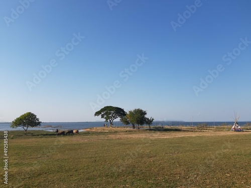 lawn and river. Ubonrat Dam. Khon Kaen.