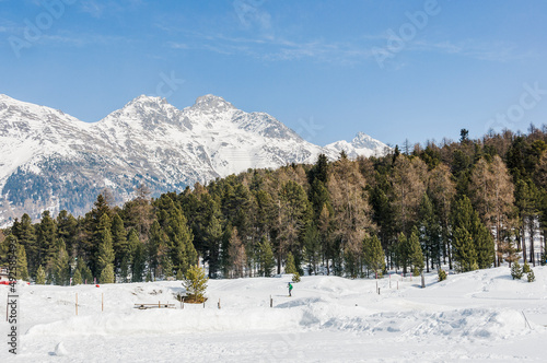 St. Moritz, Stazerwald, Stazersee, Pontresina, Winter, Winterwanderweg, Wintersport, Langlauf, Alpen, Oberengadin, Graubünden, Schweiz