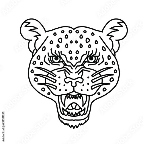 Fototapeta Naklejka Na Ścianę i Meble -  Line cheetah face