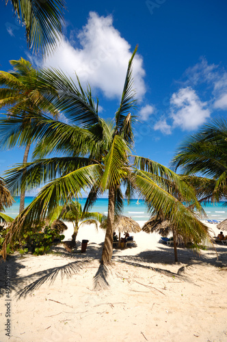 Fototapeta Naklejka Na Ścianę i Meble -  Palms on exotic beach