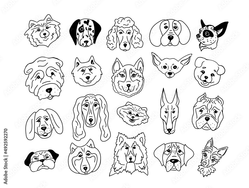 Set of heads of different breeds dogs.Chihuahua, Dalmatian, Husky ...