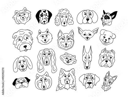 Set of heads of different breeds dogs.Chihuahua, Dalmatian, Husky, Poodle, Alabai, Spitz, Shepherd Dog, Boxer, Bulldog, Akita and others.Vector illustration.Hand drawn dog heads.