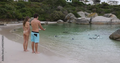 Tourist Couple walking at shoreline watching African penguins on Boulders Beach, Cape Town,South Africa