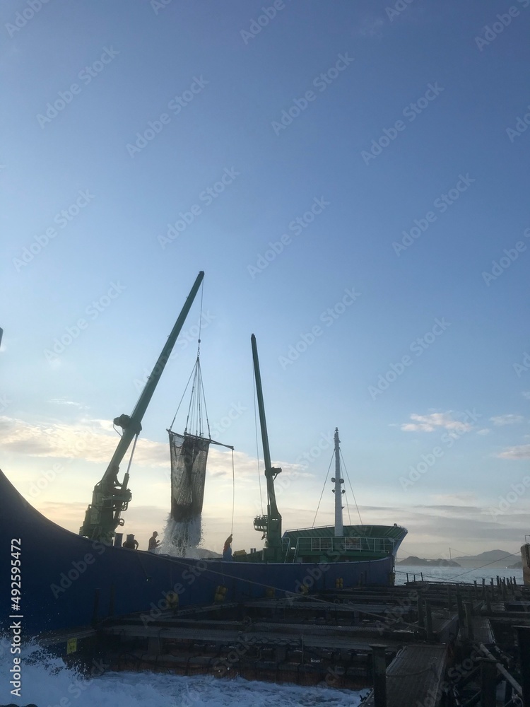 Fototapeta premium ship in the port