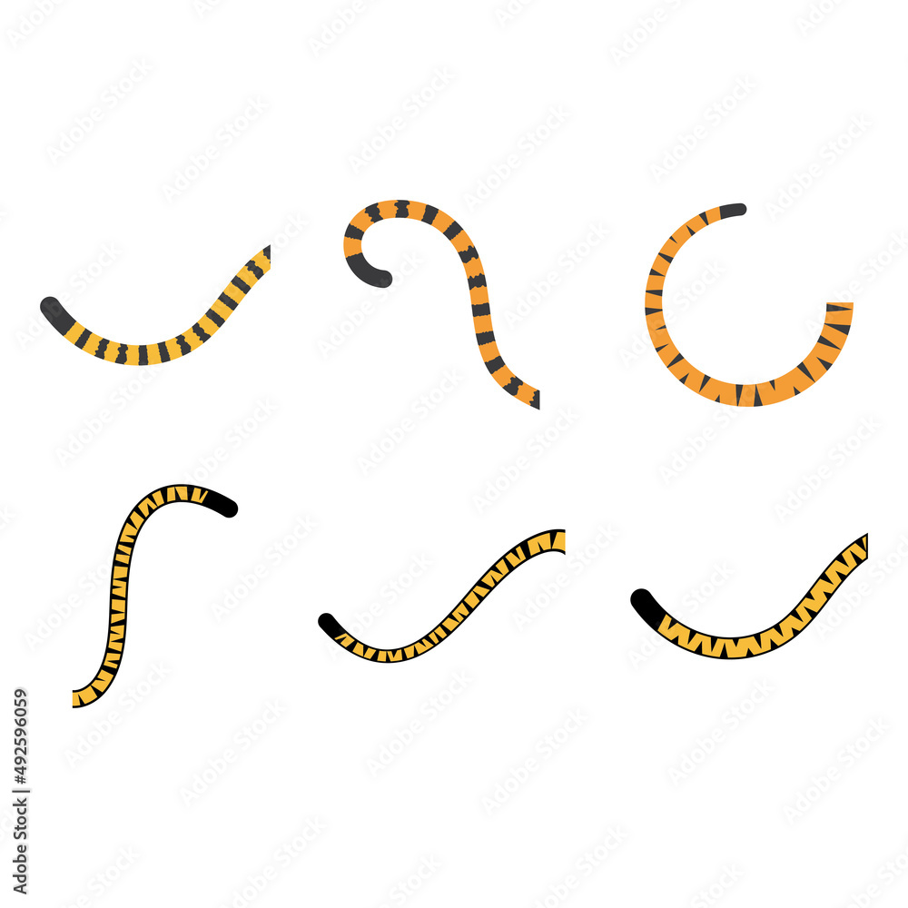 Naklejka premium Tiger tail blank space