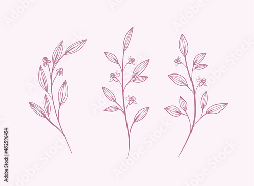 set of pinkish leaves © MozkaIllustration