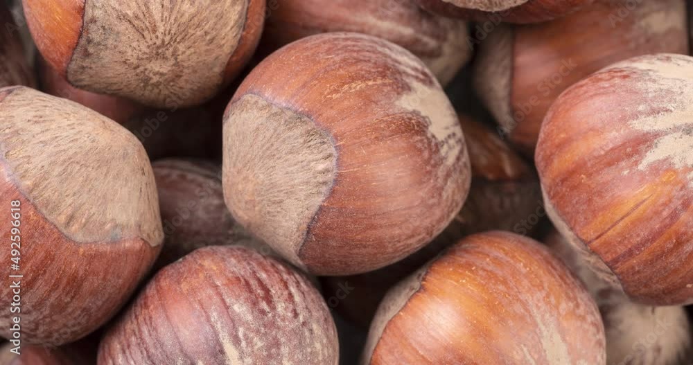 Top view, closeup of hazelnuts. Nuts backdrop Top view, closeup of hazelnuts. Nuts backdrop