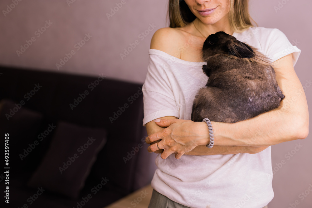 Close-up girl with adorable rabbit indoors, close up with copy space - Lovely pet and animal concept Close-up girl with adorable rabbit indoors, close up with copy space - Lovely pet and animal concept