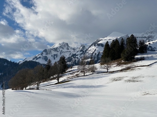 Snow-capped alpine peak Lütispitz (Luetispitz or Lutispitz, 1986 m) and Schofwisspitz (1989 m) in Alpstein mountain range and in Appenzell Alps massif, Unterwasser - Canton of St. Gallen, Switzerland