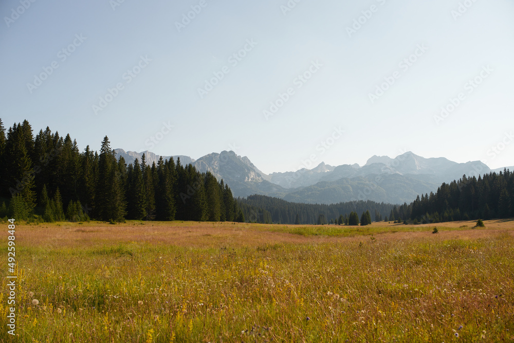 Obraz premium mountains durmitor with forest rocky landscape
