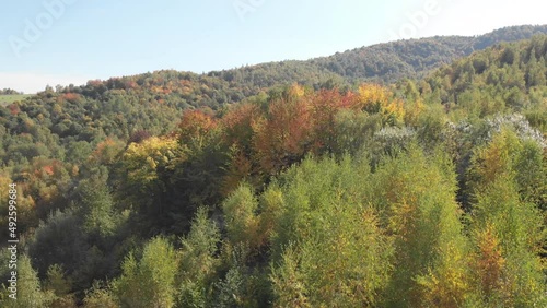 Wallpaper Mural Drone shooting in the Carpathian mountains on an autumn sunny day Torontodigital.ca