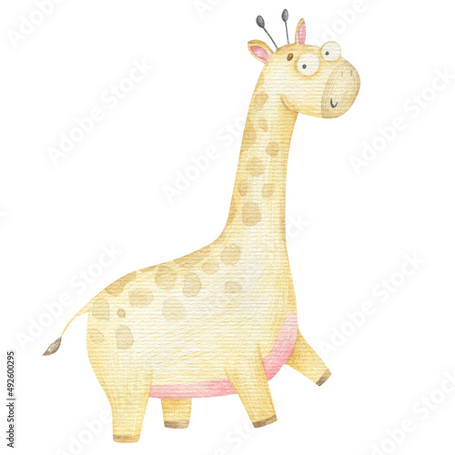 Photography giraffe, cute isolated baby watercolor illustration, design, print