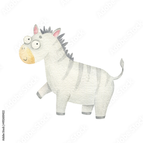 Photography zebra striped, cute isolated children's watercolor illustration, design, print