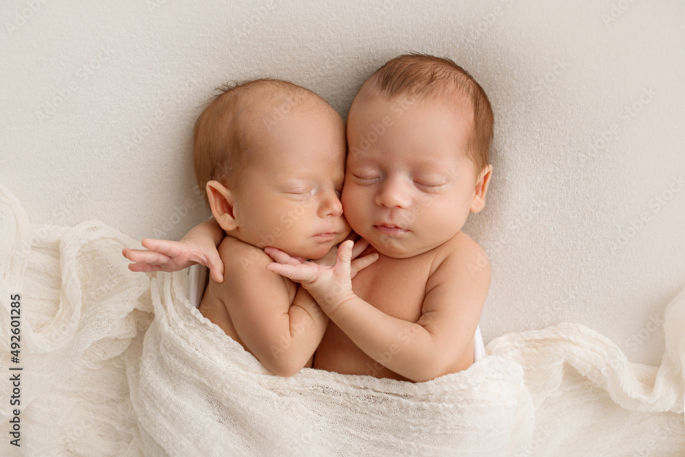 Tiny newborn twins boys in white cocoons on a white background. A newborn twin sleeps next to his brother. Newborn two twins boys hugging each other.Professional studio photography - obrazy, fototapety, plakaty 