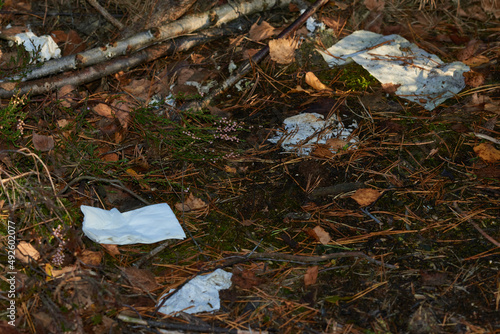 Weggeworfene Papiertaschentücher im Wald 