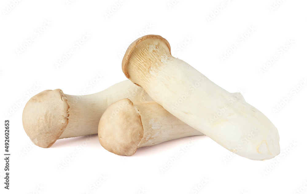 Oringi mushroom or royal oyster mushroom, halved on a white background. Oringi mushroom or royal oyster mushroom, halved on a white background.