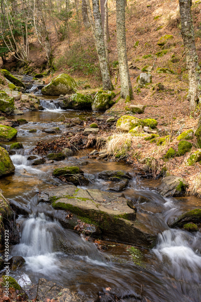 Obraz premium Mountain river running through a forest and over rocks nearby in the Sierra de Madrid