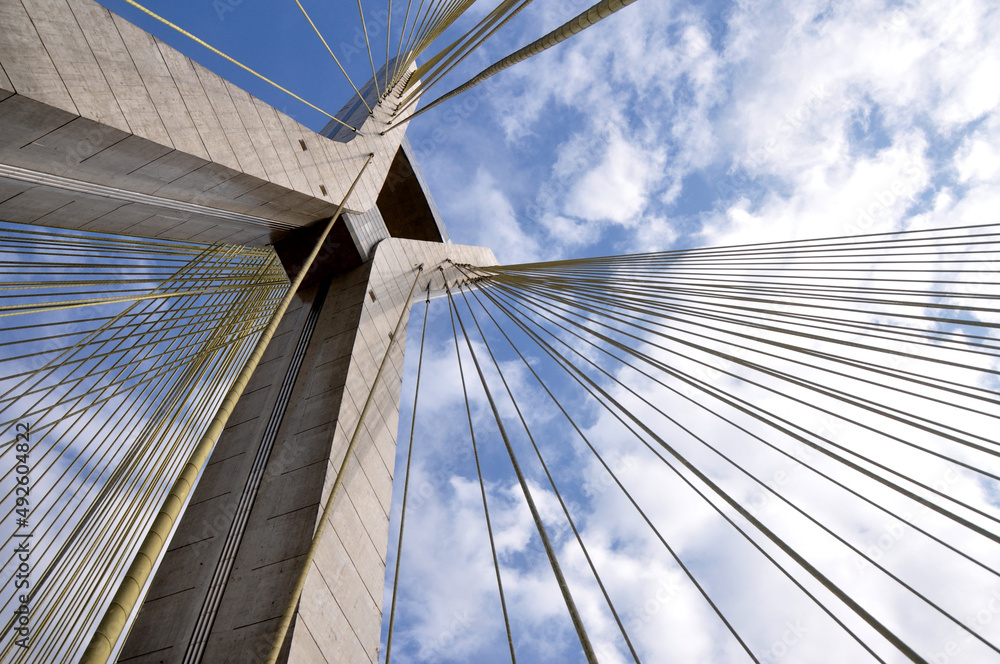 Obraz premium Estaiada Bridge 