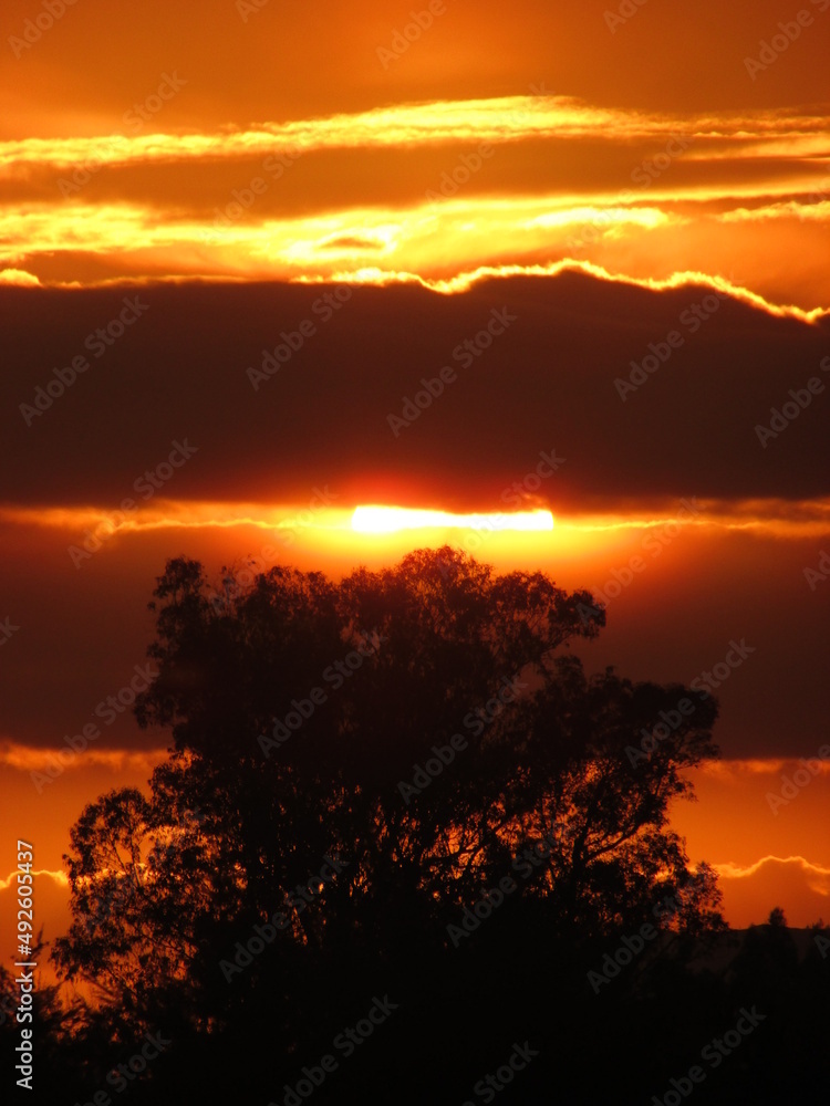 Fototapeta premium Sunset in countryside. nature photo and colors 