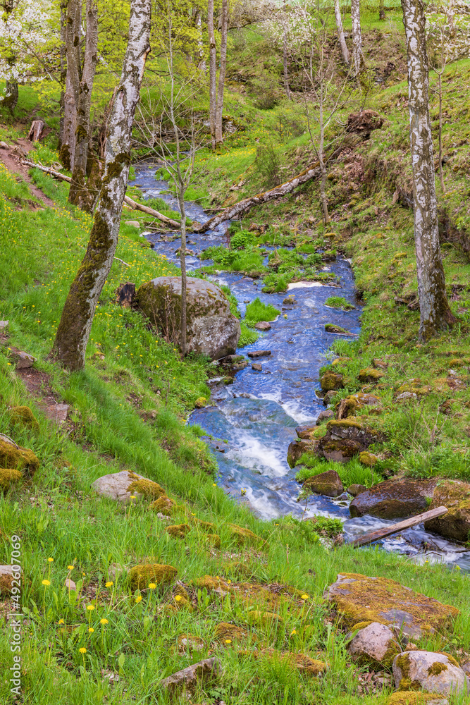 Ravine with a stream in a tree grov in springtime Ravine with a stream in a tree grov in springtime