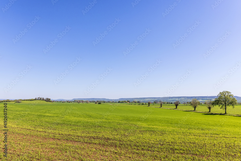 Landscape view at a green cultivated land in the countryside