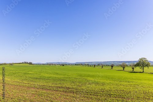 Landscape view at a green cultivated land in the countryside