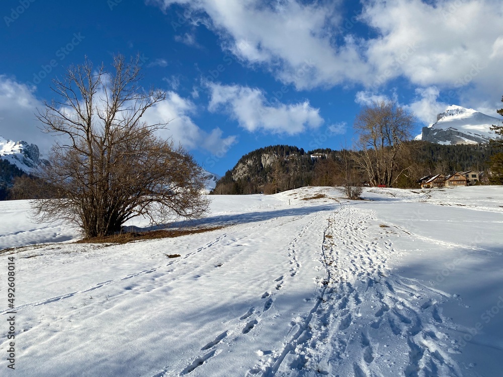 Obraz premium Wonderful winter hiking trails and traces on the slopes of the Alpstein mountain range and in the fresh alpine snow cover of the Swiss Alps - Unterwasser, Switzerland (Schweiz)
