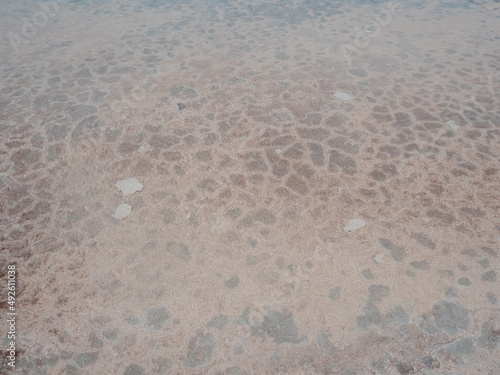 Piedras Rojas  Red Stones  a volcanic salt lagoon  4200 mts above sea level  surrounded by unqiue reddish rock formations  Atacama desert  Chile