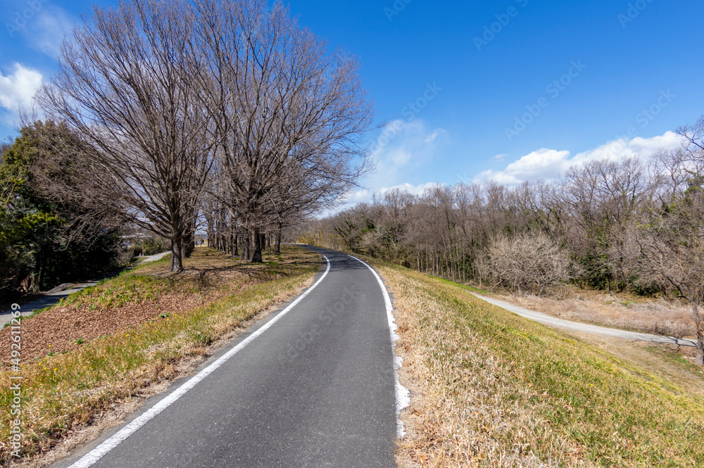 Fototapeta premium 荒川土手のサイクリングロード