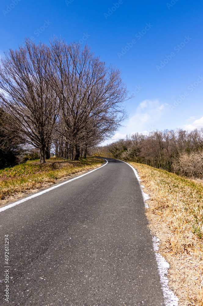 Fototapeta premium 荒川土手のサイクリングロード