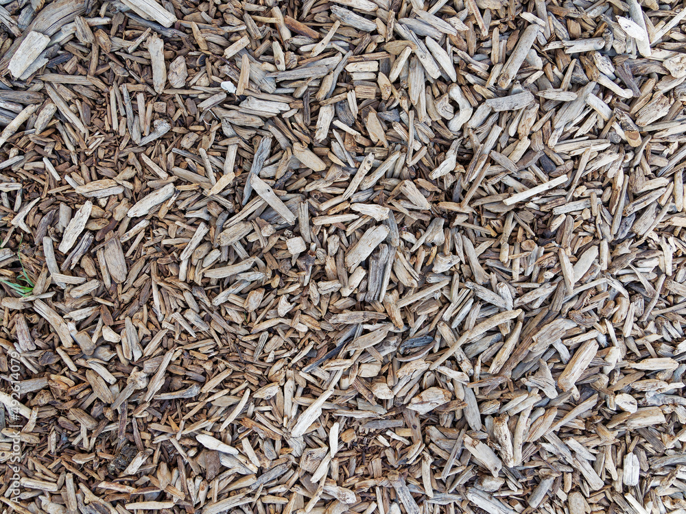 Close up of dried twigs on the ground which can be used as natural background.