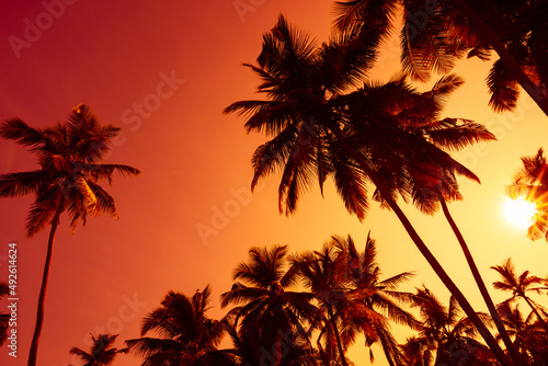 Coconut palm trees silhouettes on tropical beach at vivid sunset with shining sun